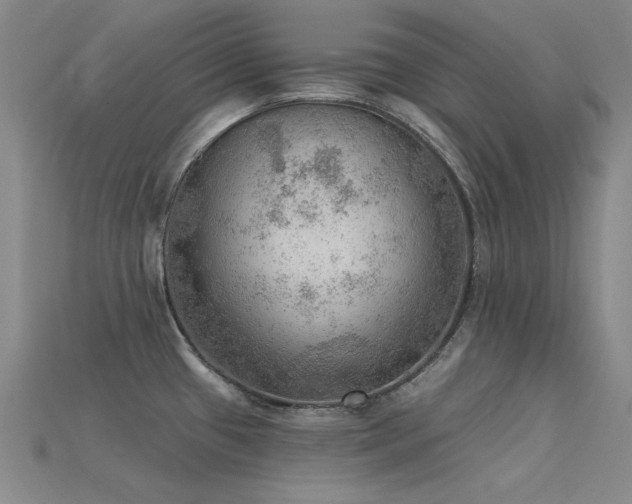 X0000115851433200911131542