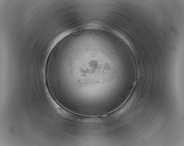 X0000115851434200911131542