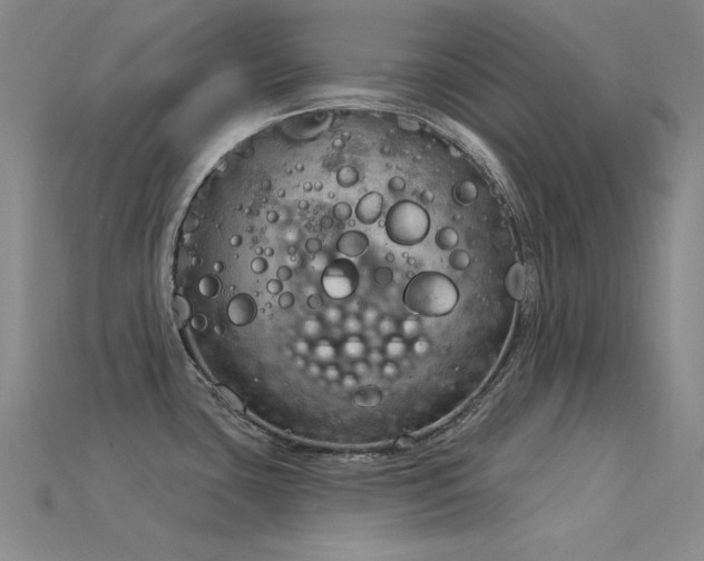 X0000115851435200911131542