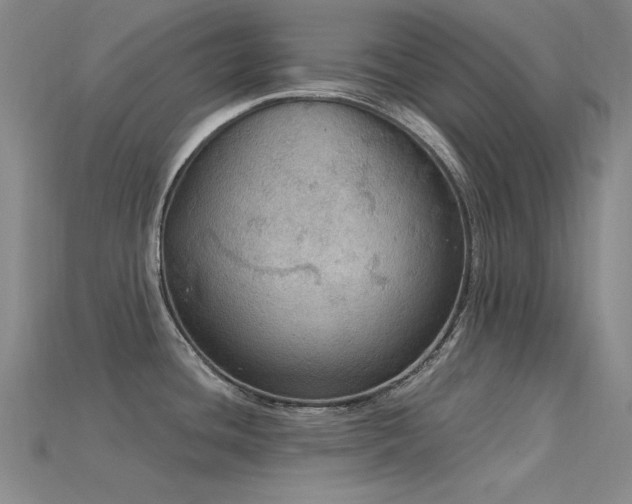 X0000115851436200911131542