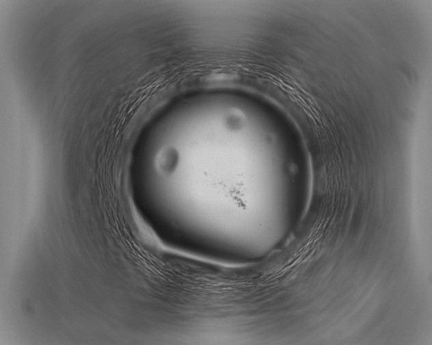 X0000115851441200911131542