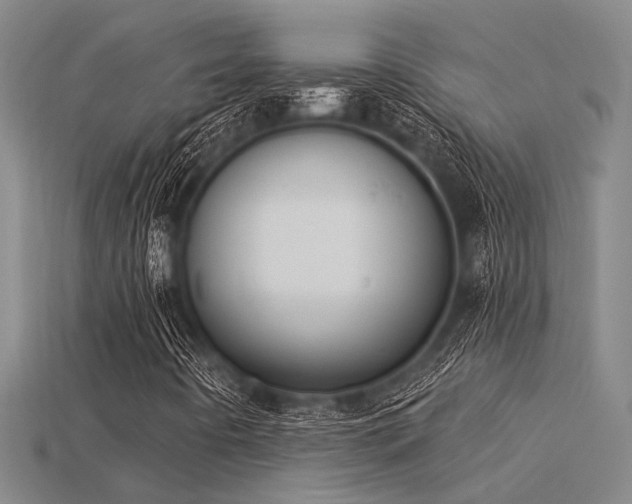 X0000115851442200911131542