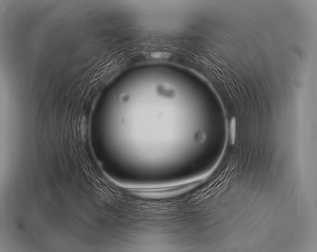 X0000115851443200911131542