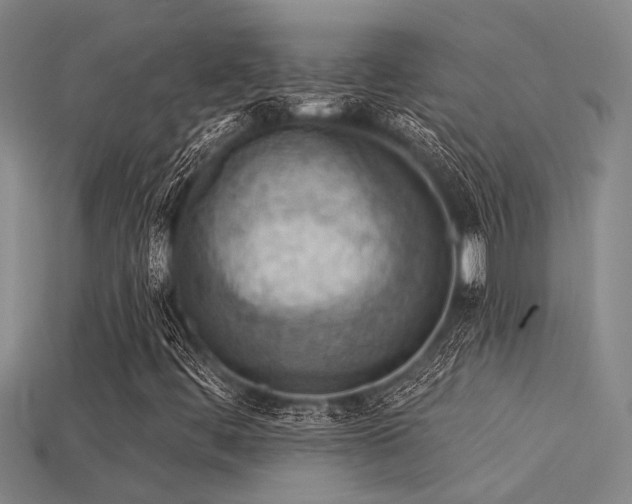 X0000115851444200911131542