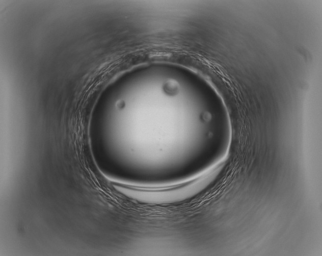 X0000115851445200911131542