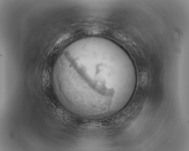 X0000115851446200911131542