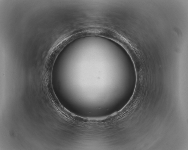 X0000115851448200911131542
