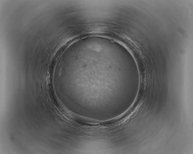X0000115851449200911131542
