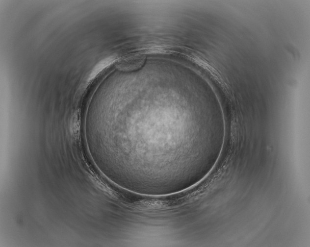 X0000115851450200911131542