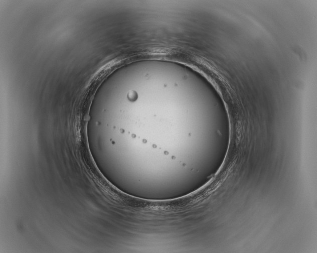 X0000115851451200911131542