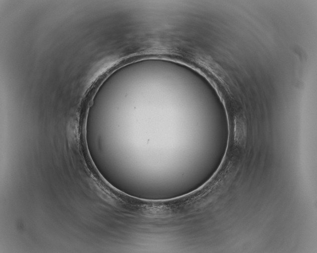 X0000115851452200911131542
