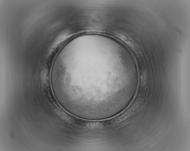 X0000115851454200911131542