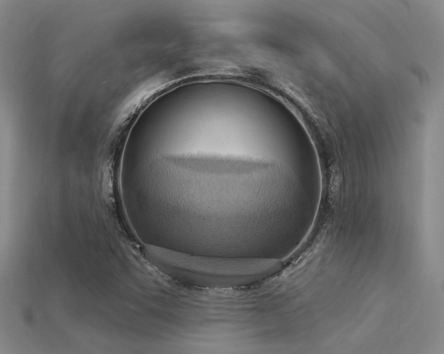X0000115851455200911131542
