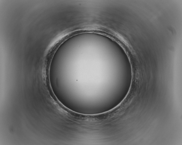 X0000115851456200911131541