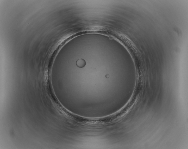X0000115851457200911131541