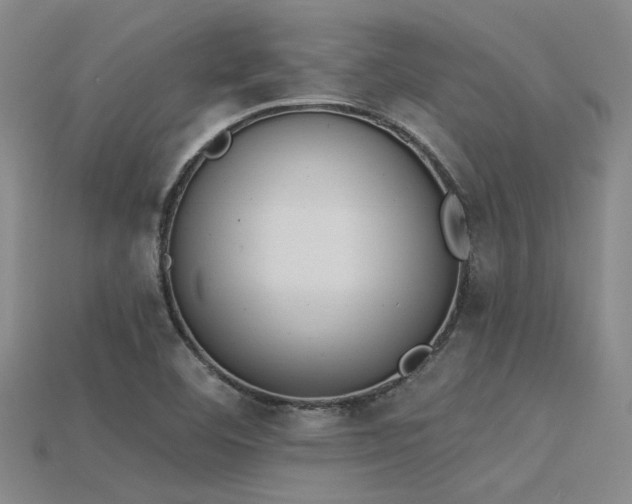 X0000115851460200911131541