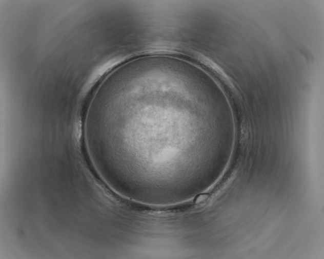 X0000115851461200911131541