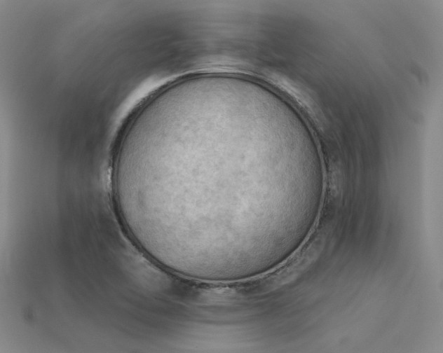 X0000115851462200911131541