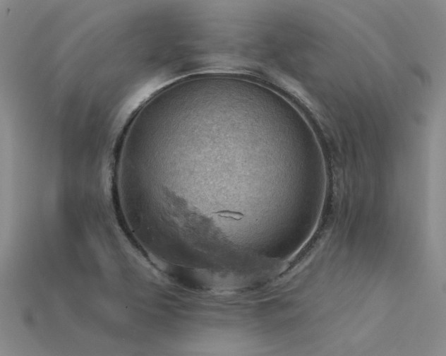 X0000115851463200911131541