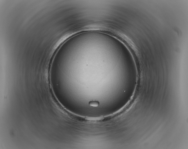 X0000115851465200911131541