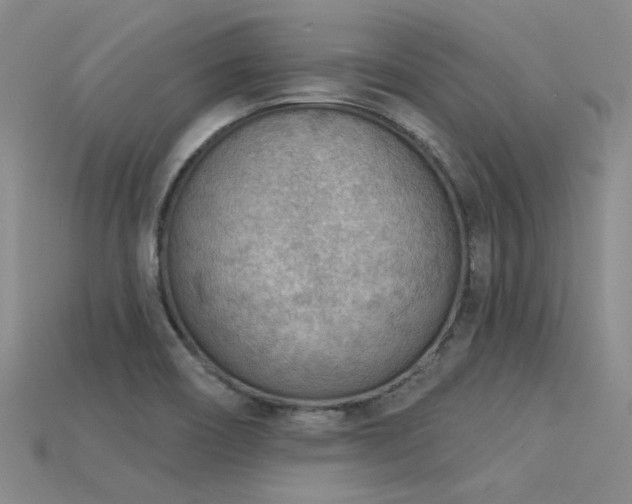 X0000115851466200911131541