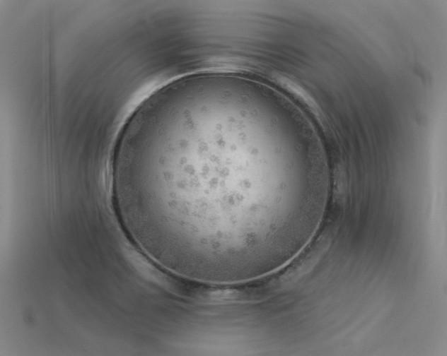 X0000115851467200911131541