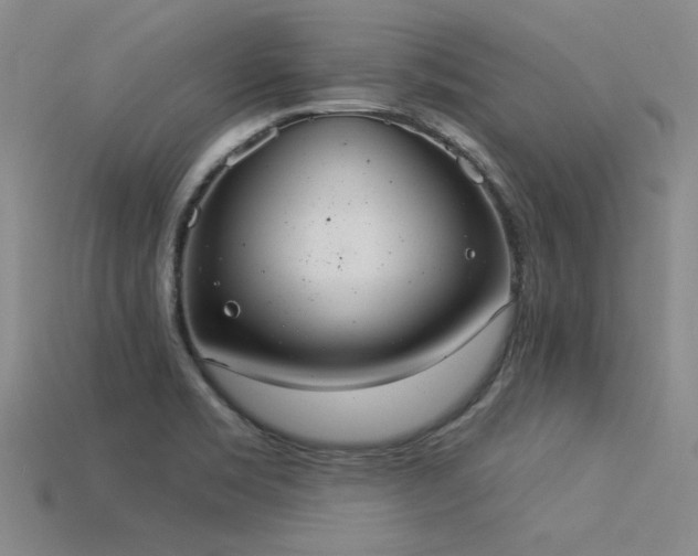 X0000115851469200911131541