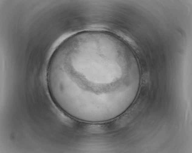 X0000115851470200911131541