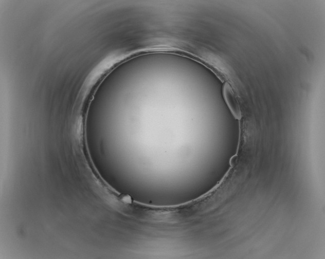 X0000115851472200911131541