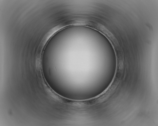 X0000115851473200911131541