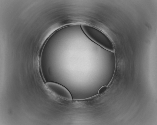 X0000115851476200911131541