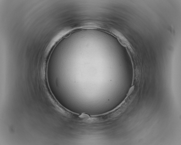 X0000115851477200911131541