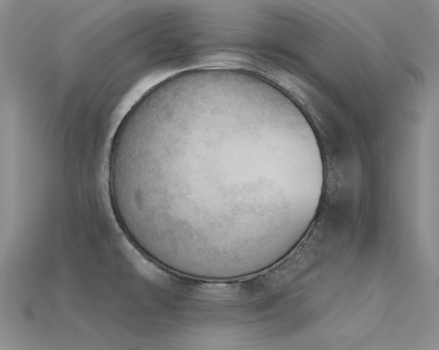 X0000115851478200911131541
