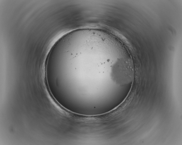 X0000115851479200911131541