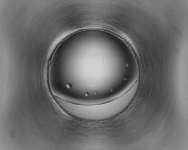 X0000115851480200911131541