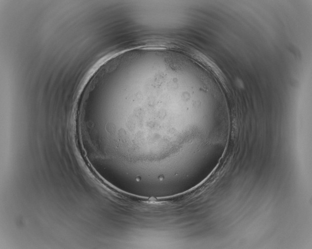 X0000115851483200911131541