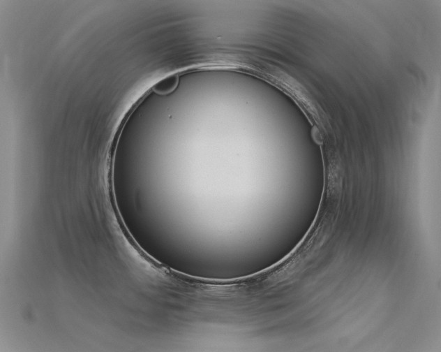 X0000115851484200911131541
