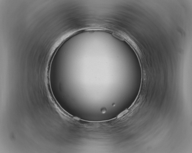 X0000115851485200911131541