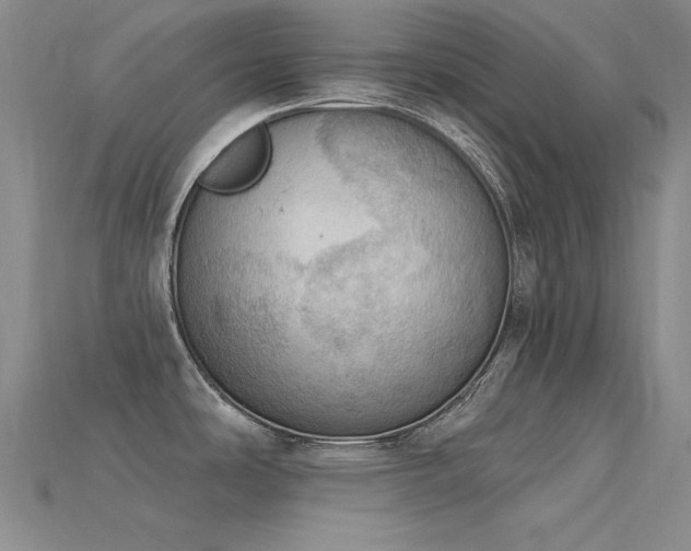X0000115851486200911131541