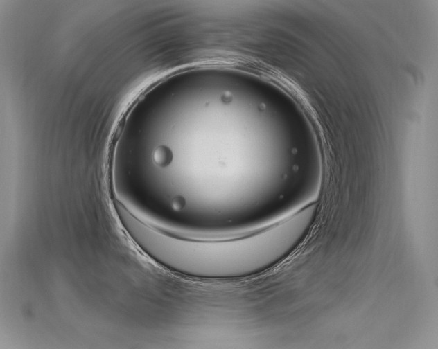 X0000115851488200911131541