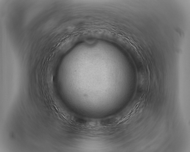 X0000115851489200911131540