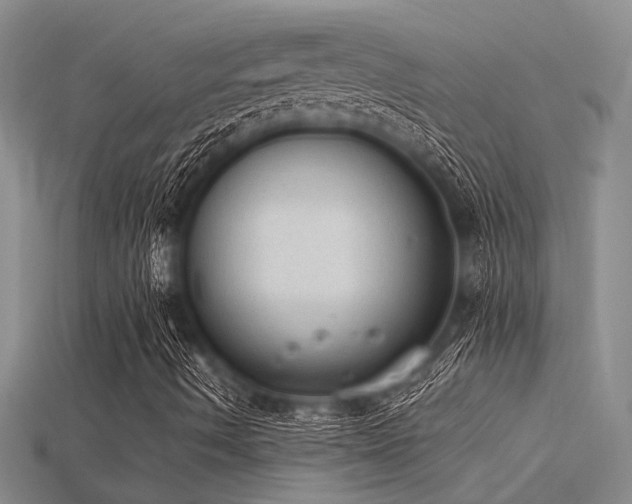 X0000115851490200911131540
