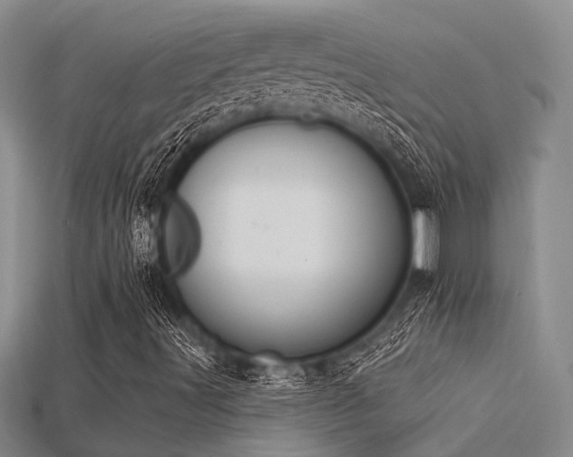 X0000115851491200911131540