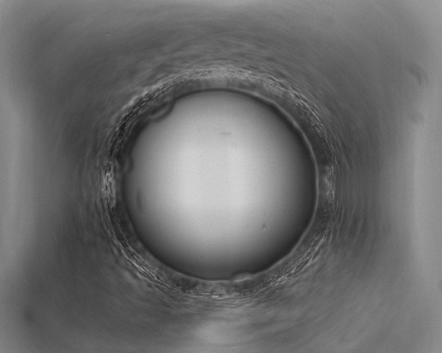X0000115851493200911131541
