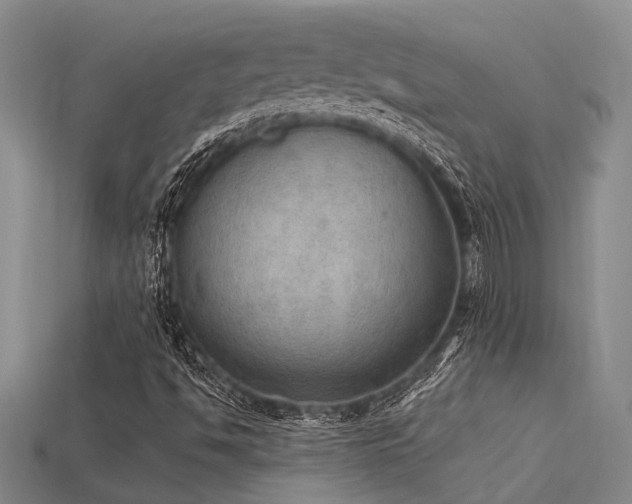 X0000115851494200911131541