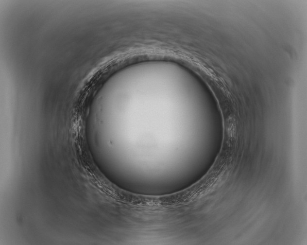 X0000115851495200911131541