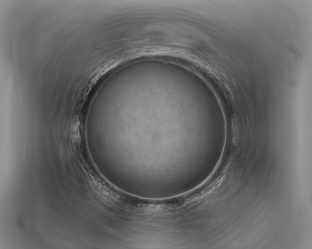 X0000115851497200911131541