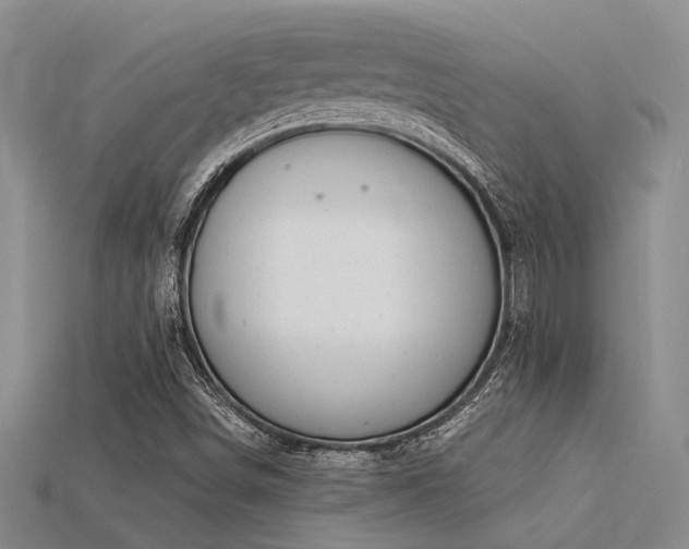 X0000115851498200911131541