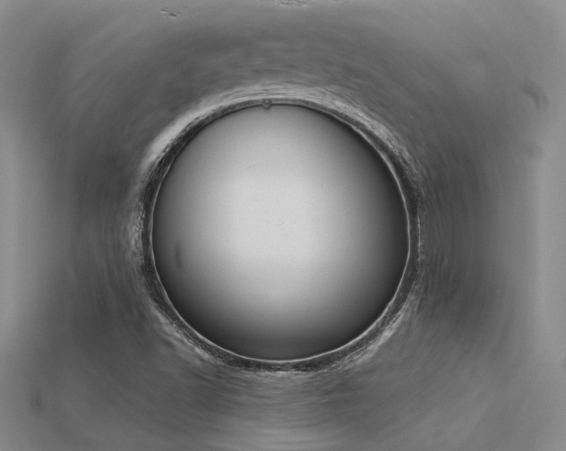 X0000115851502200911131541