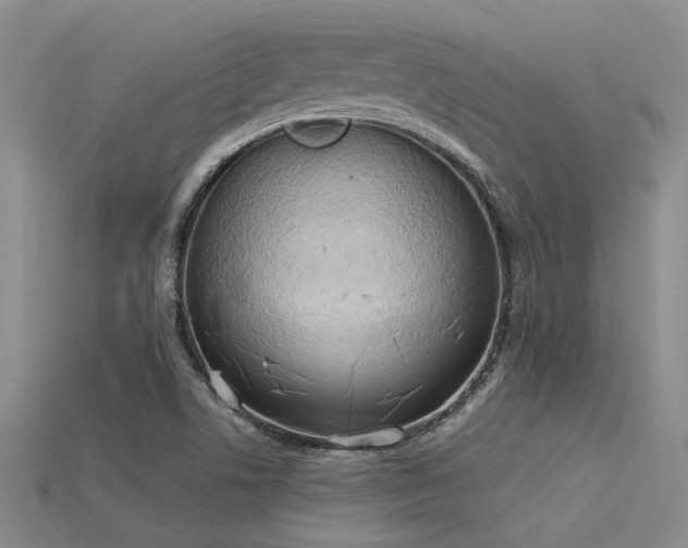 X0000115851506200911131541